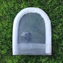 Šiltlysvė Derlius (3)