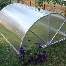 Šiltlysvė Sraigė 1