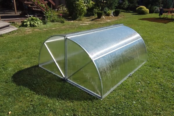 Šiltlysvė Sraigė 3